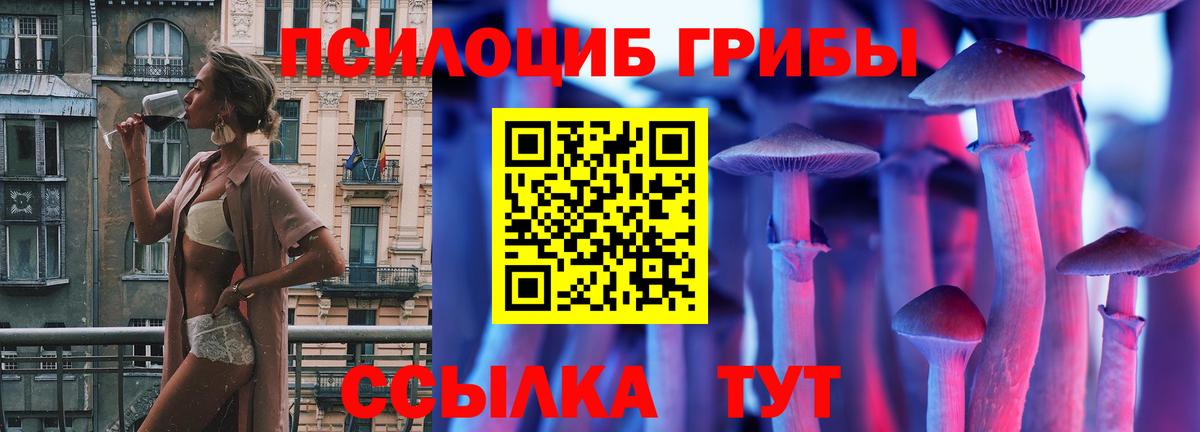 Фролово  Галлюциногенные грибы мицелий  Вход с VPN 
